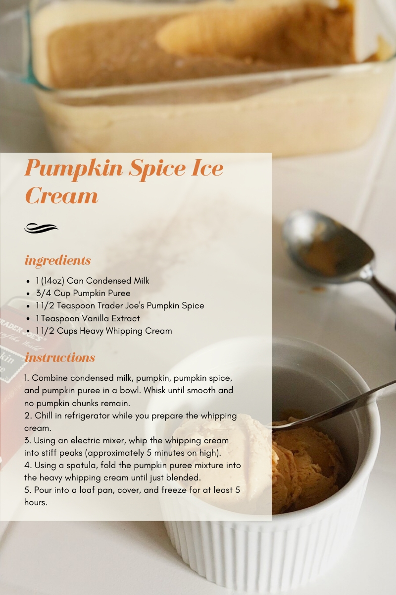 Pumpkin Spice Ice Cream (1)
